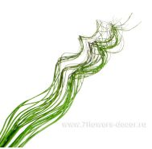 image179 - копия - копия - копия.png