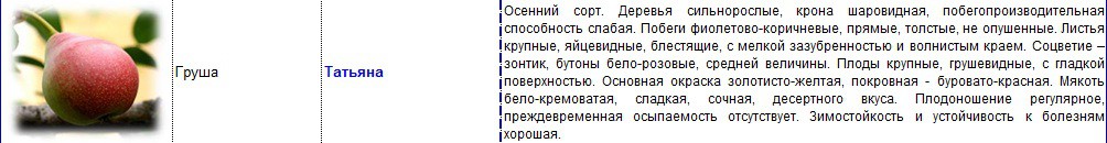груша  татьяна.jpg