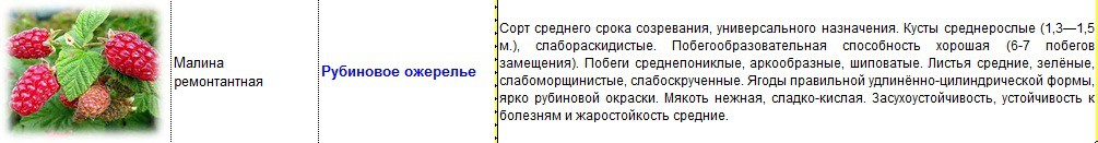 малина рубиновое ожерелье.jpg