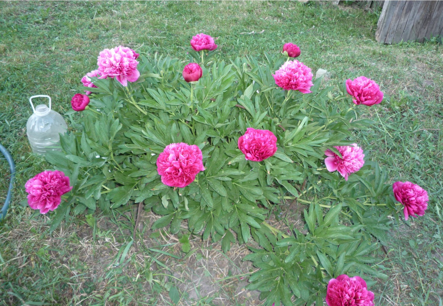 P1050643.JPG