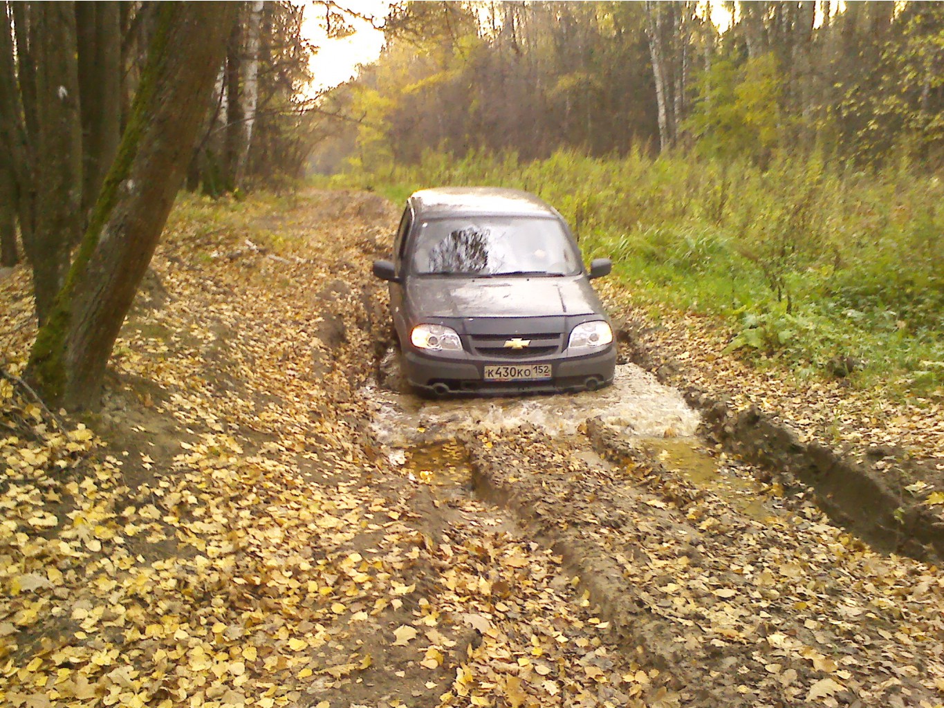 IMG00060.jpg