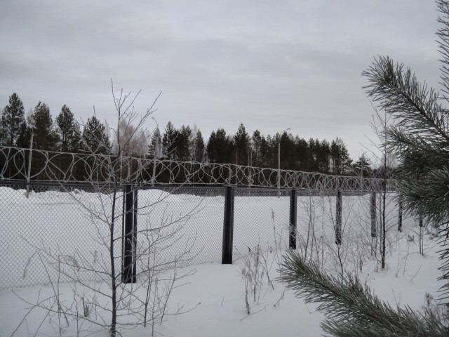 DSC00808.JPG