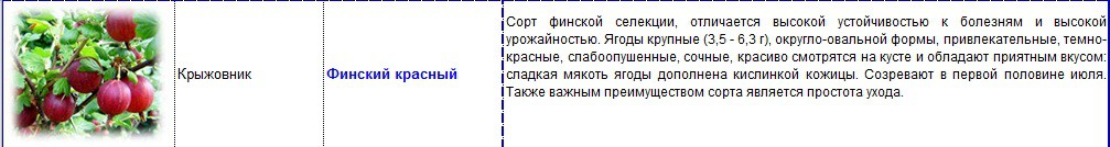 крыжовник финский красный.jpg