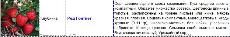 ред гонтлет.jpg