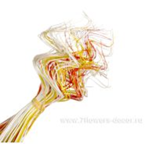 image145 - копия - копия - копия.png