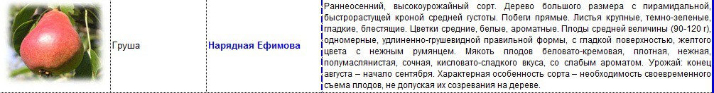 груша нарядная ефимова.jpg