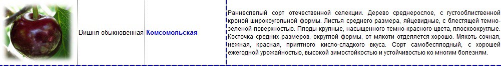 вишня комсомольская.jpg