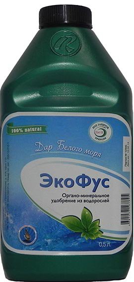 экофус.jpg