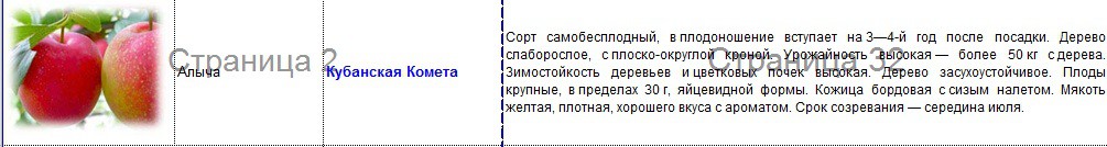 алыча кубанская комета.jpg
