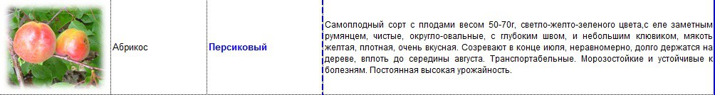 абрикос персиковый.jpg