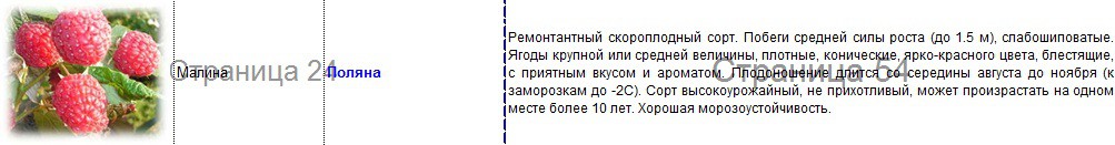 малина поляна.jpg