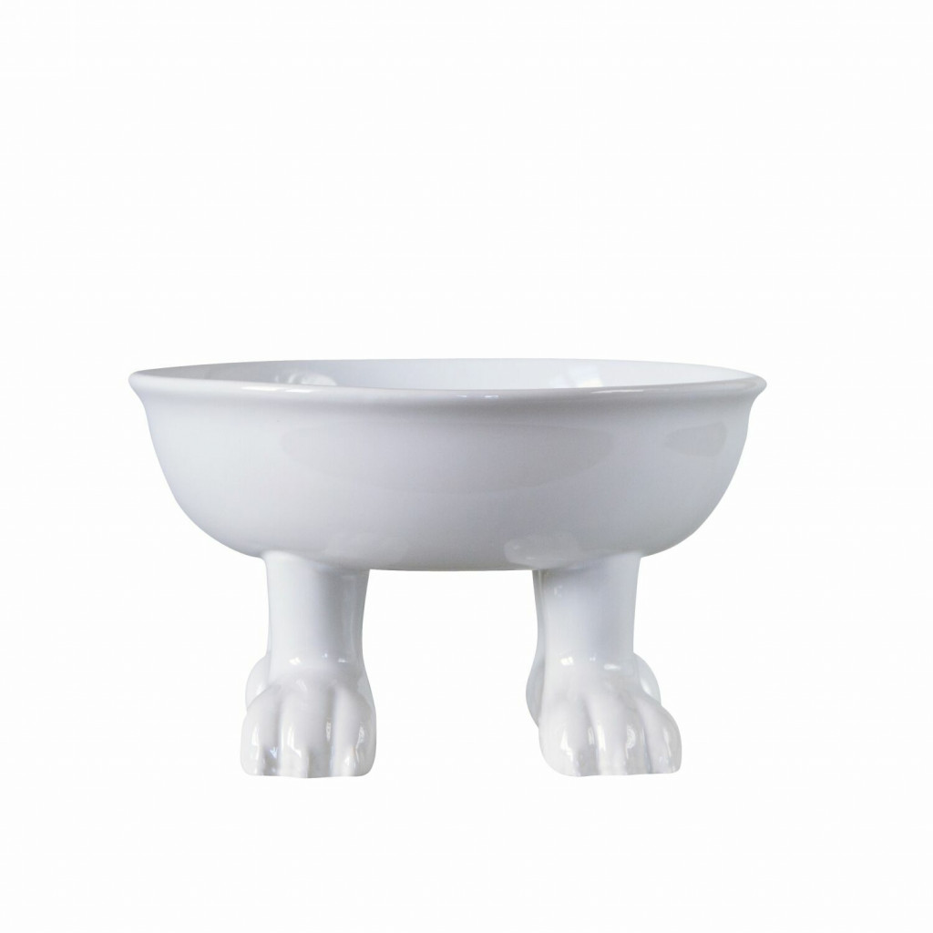  Dog. : .  :