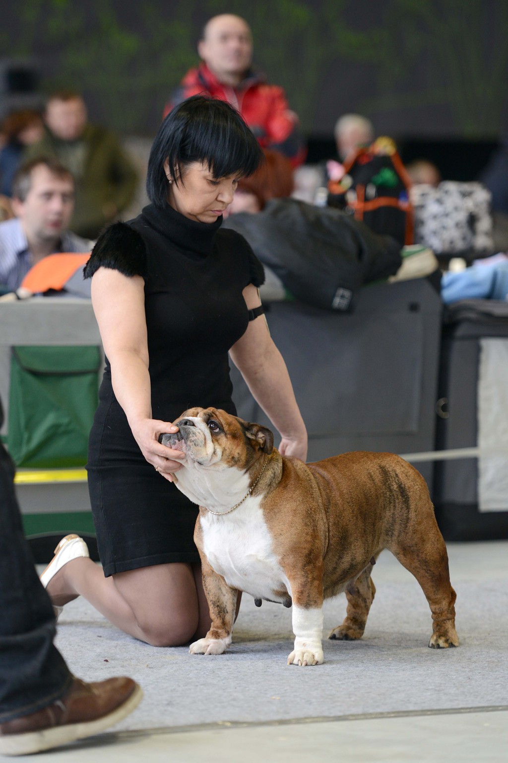 DSC_5728.JPG