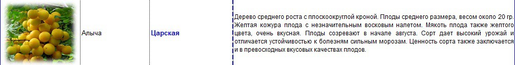 алыча царская.jpg