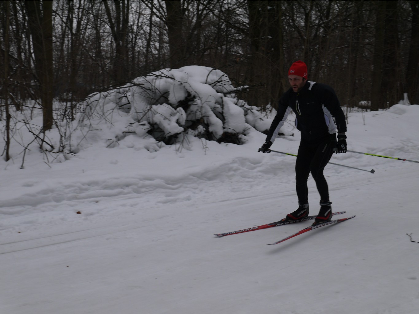 P1000331.JPG