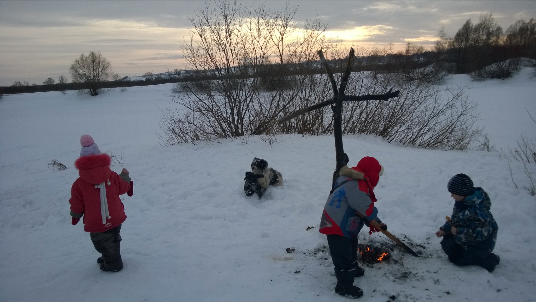WP_20150222_044.jpg