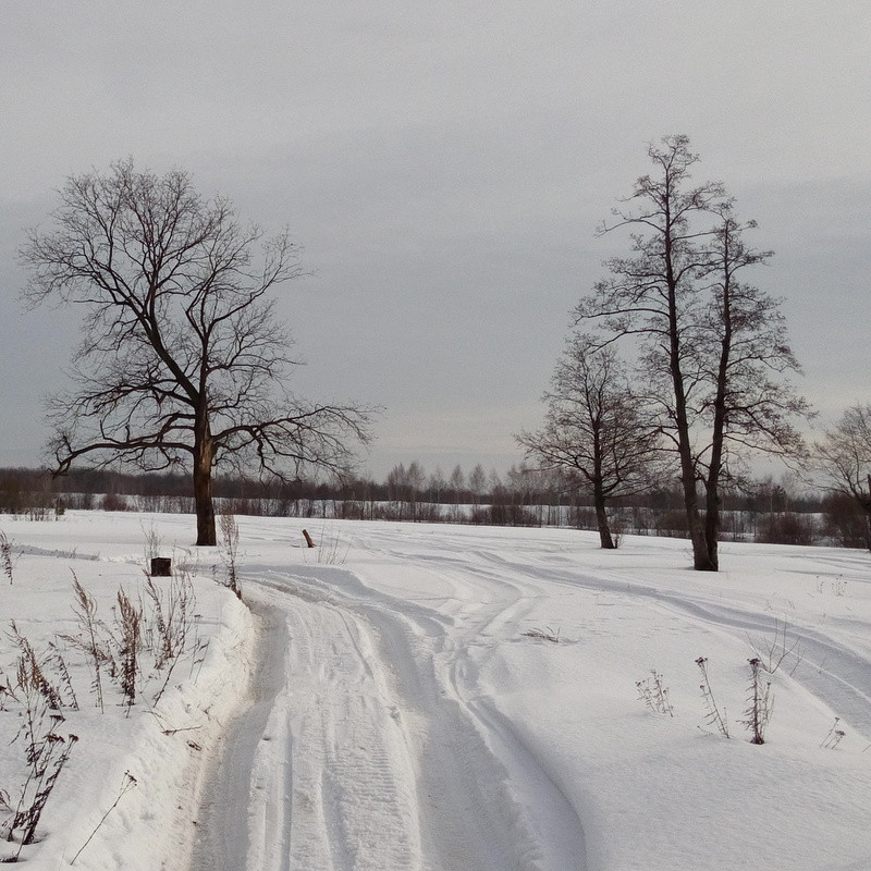 IMG_20150222_132515.jpg