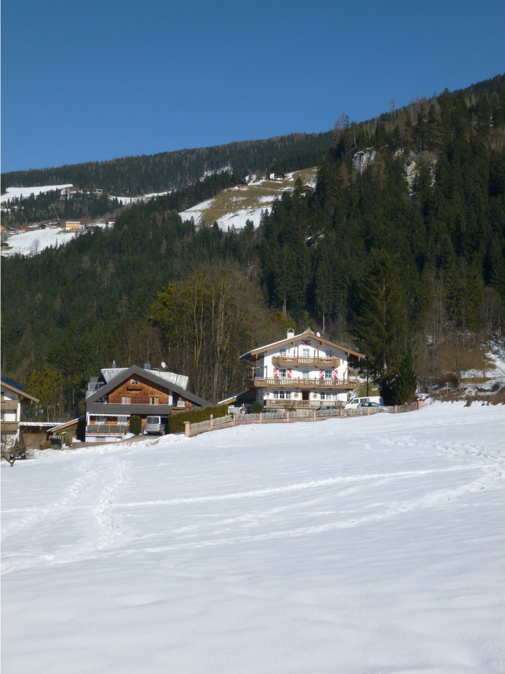 P1020141.JPG