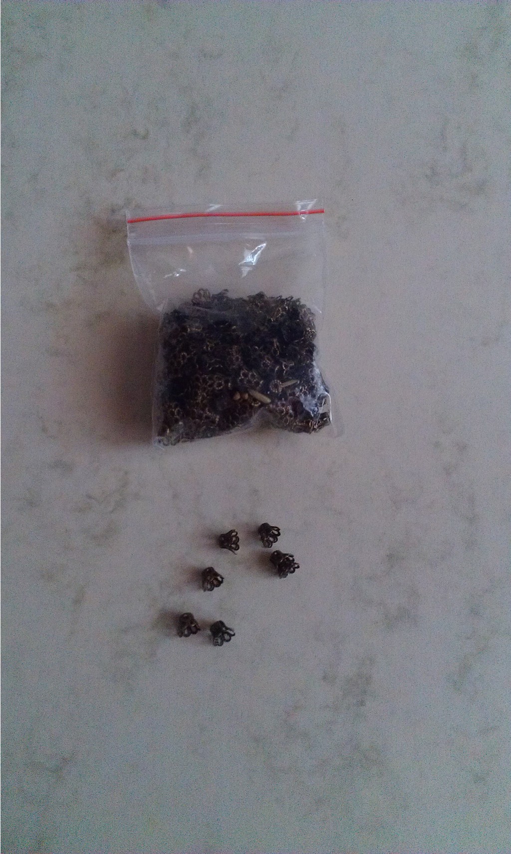 IMAG3778.jpg