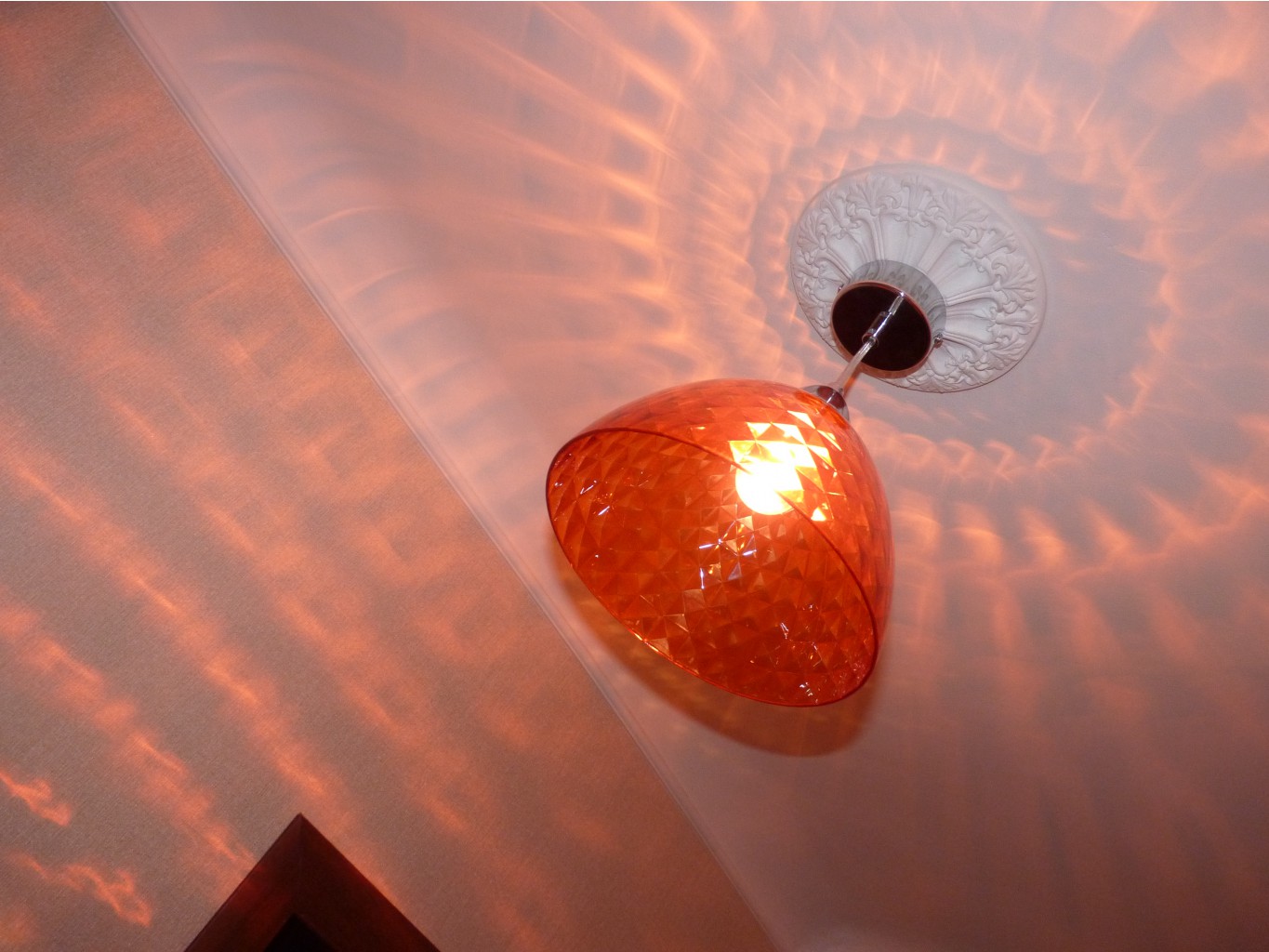 P1450503.JPG