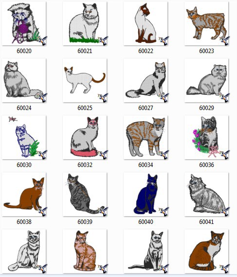 AD1005 Cats Collection I.jpg