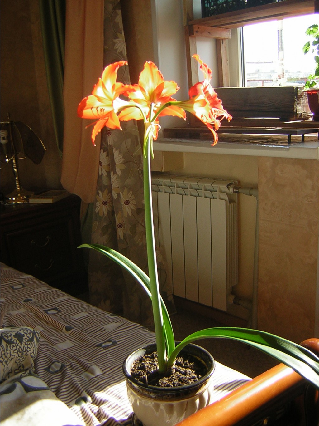 DSCN9264.JPG
