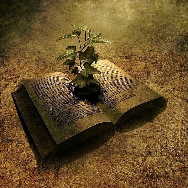 книга.jpg