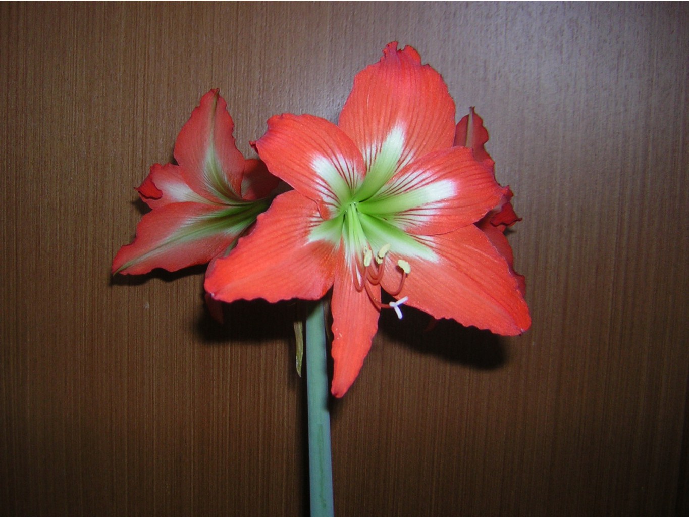 DSCN9268.JPG