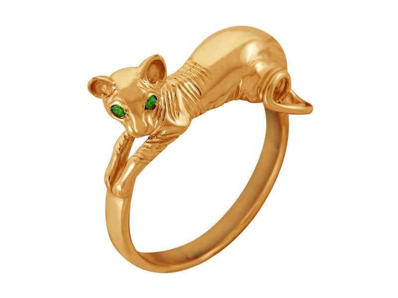 кошка сфинкс..jpg