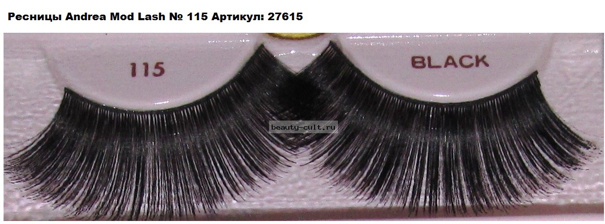 Andrea + Ardell  27615  Andrea Mod Lash  No  115