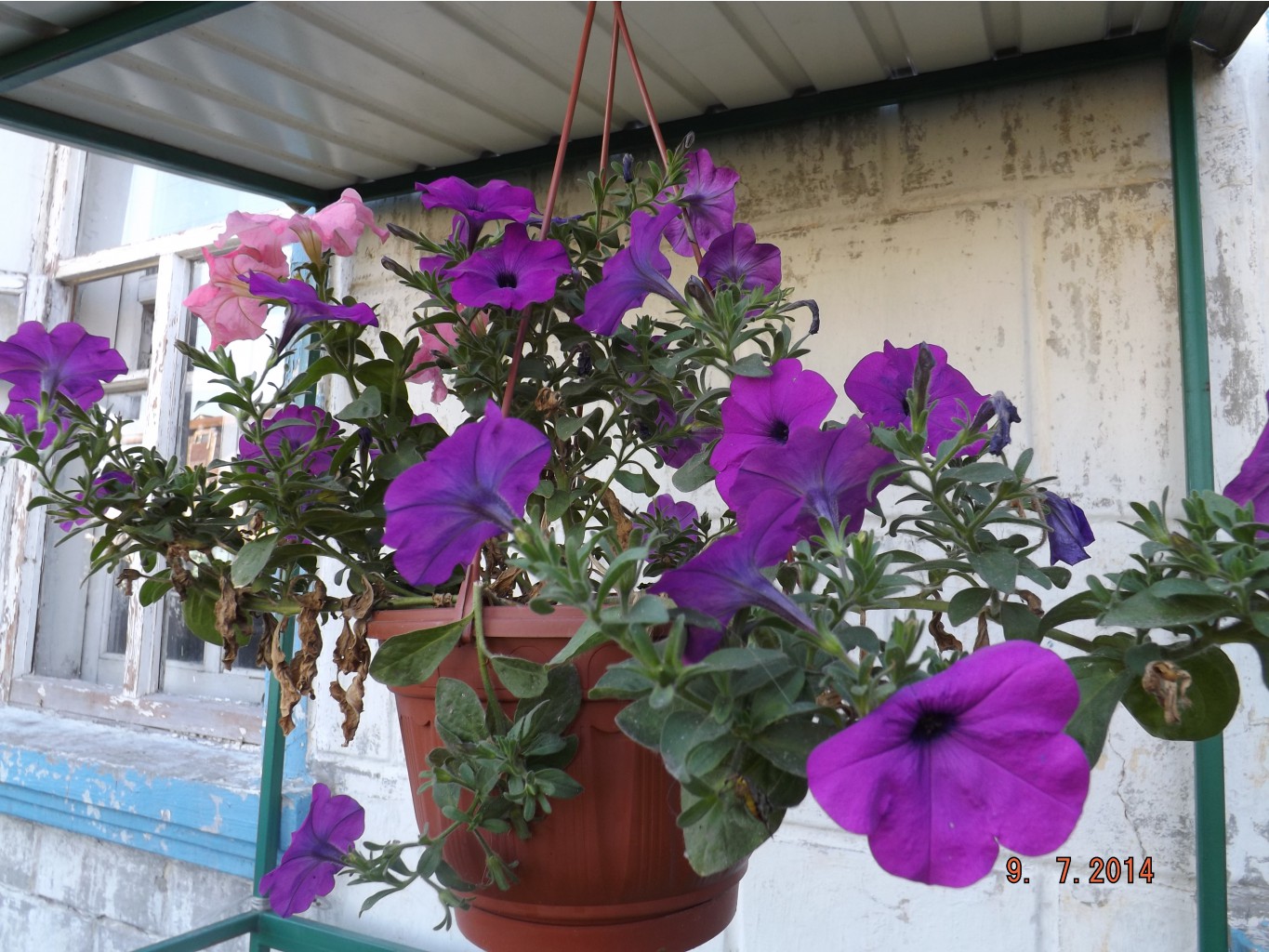 DSCF4073.JPG