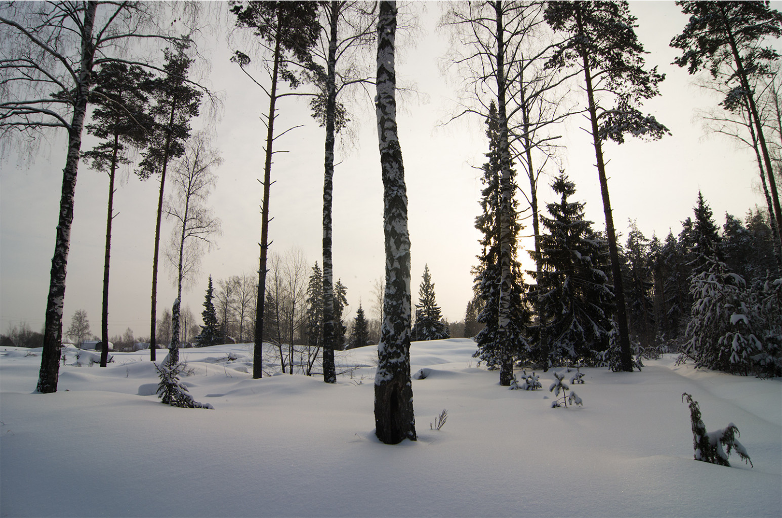 _DSC6078.jpg