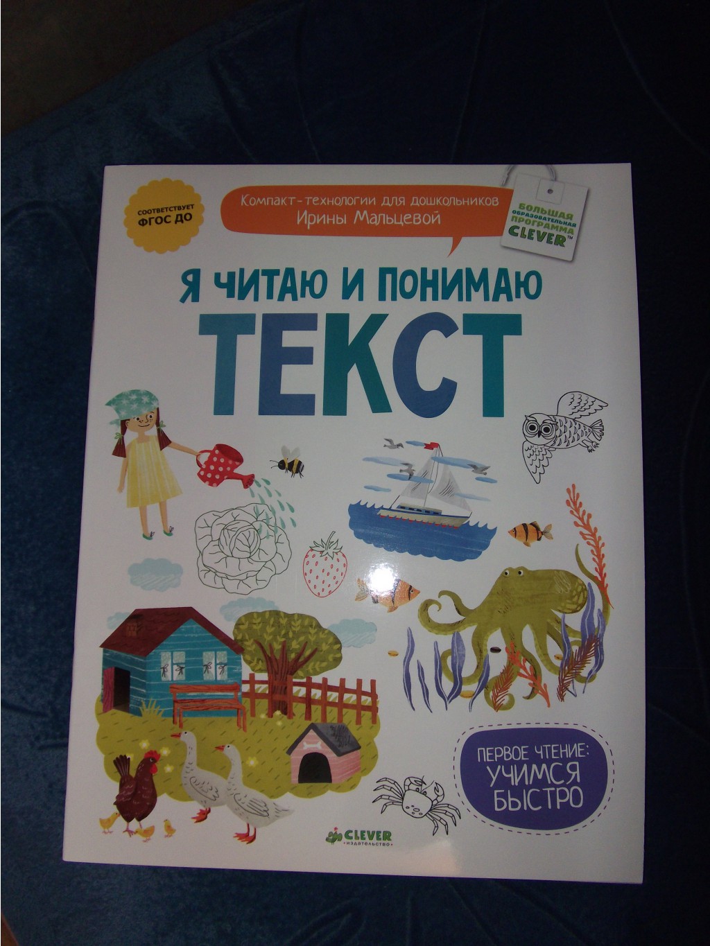 DSCF1002.JPG