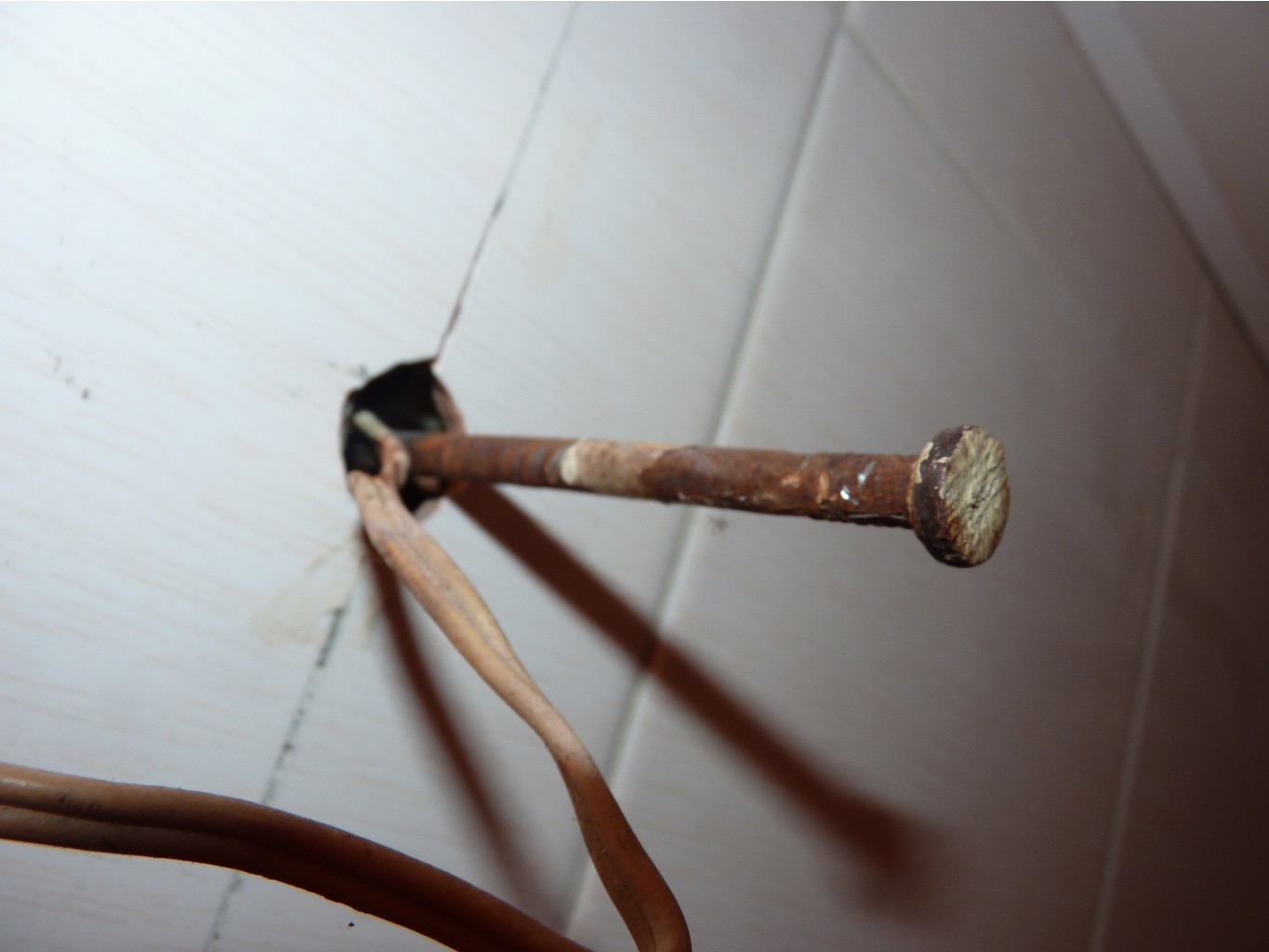 P1450500.JPG