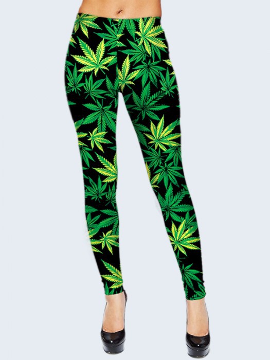  Cannabis