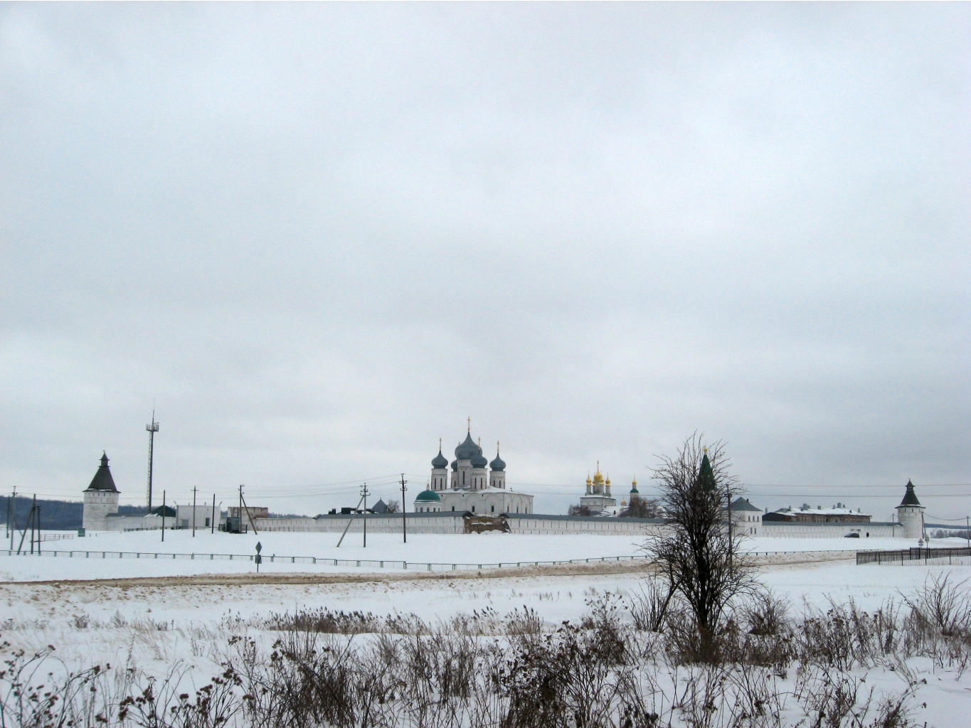 IMG_9547.JPG