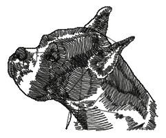 Wo271.jpg