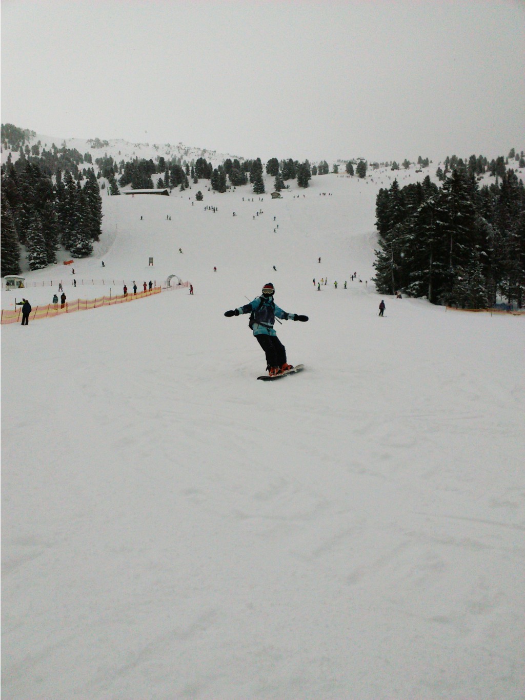 IMG_20150209_114800_1.jpg