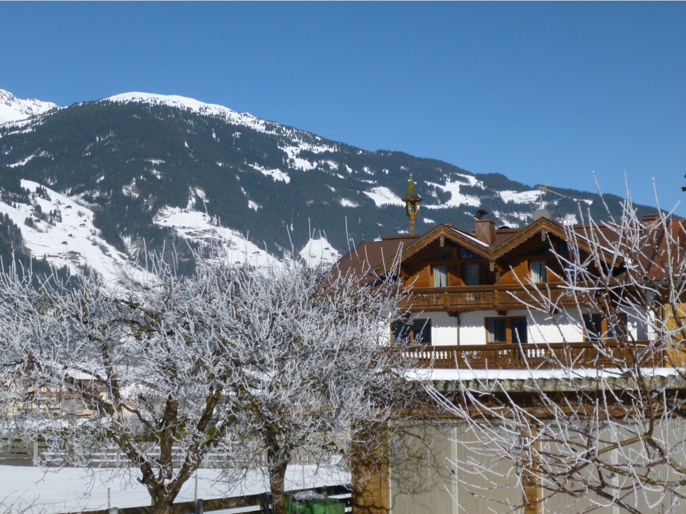 P1020126.JPG