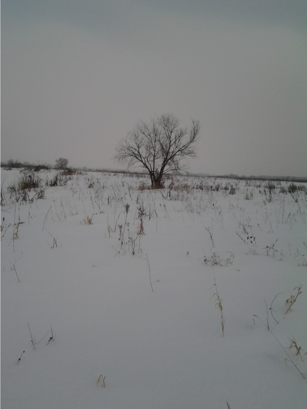 2015-02-07 13.16.24.jpg