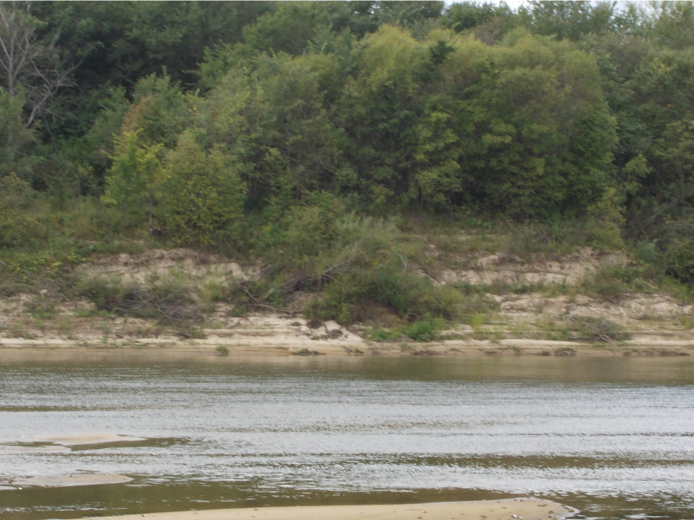 DSCN0026.JPG