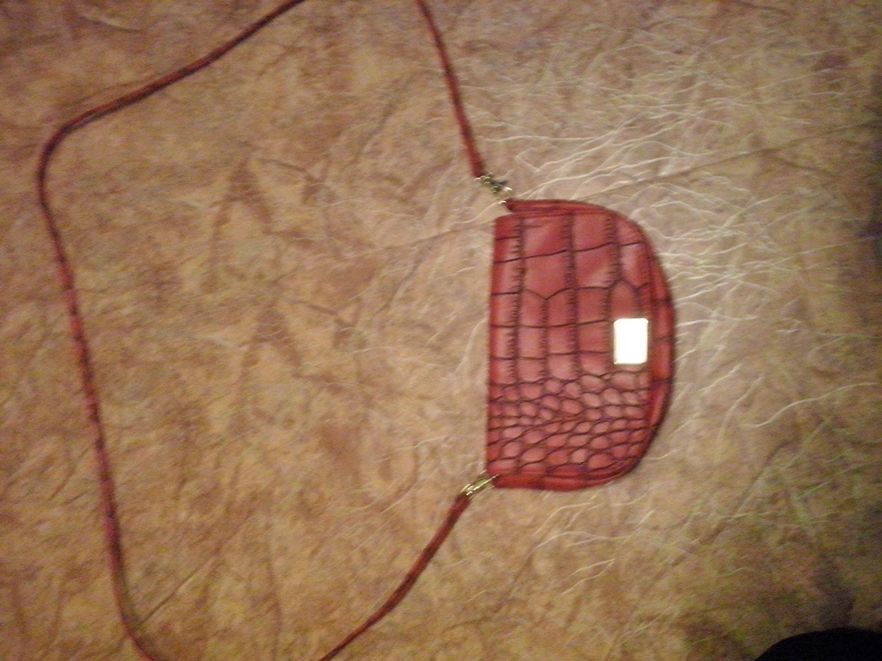 CAM00509.jpg