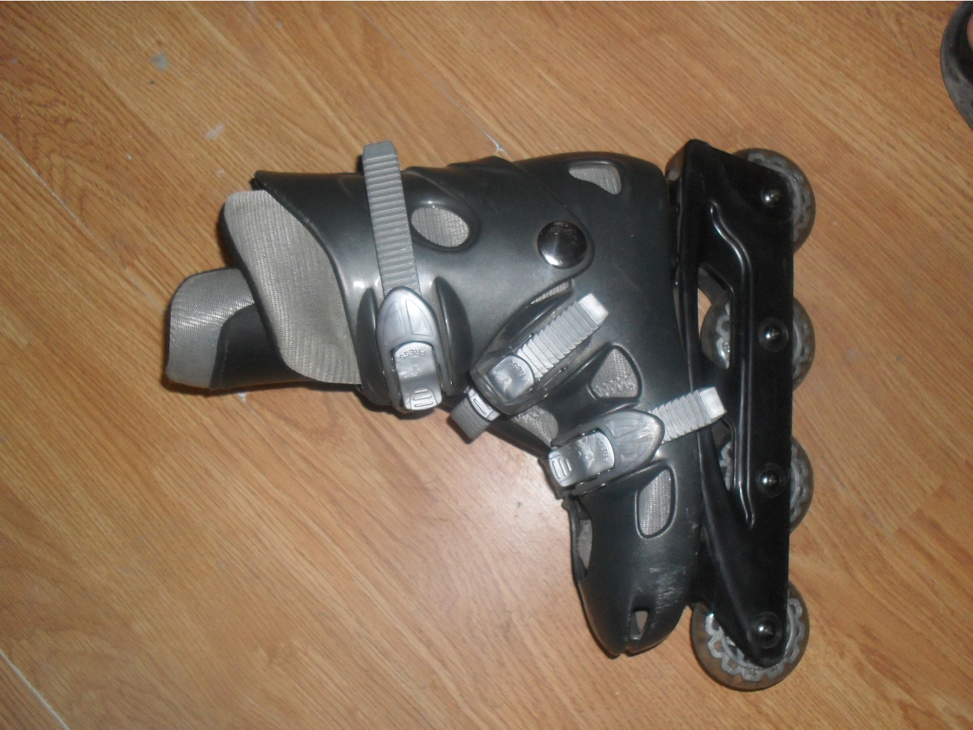 SDC12349.JPG