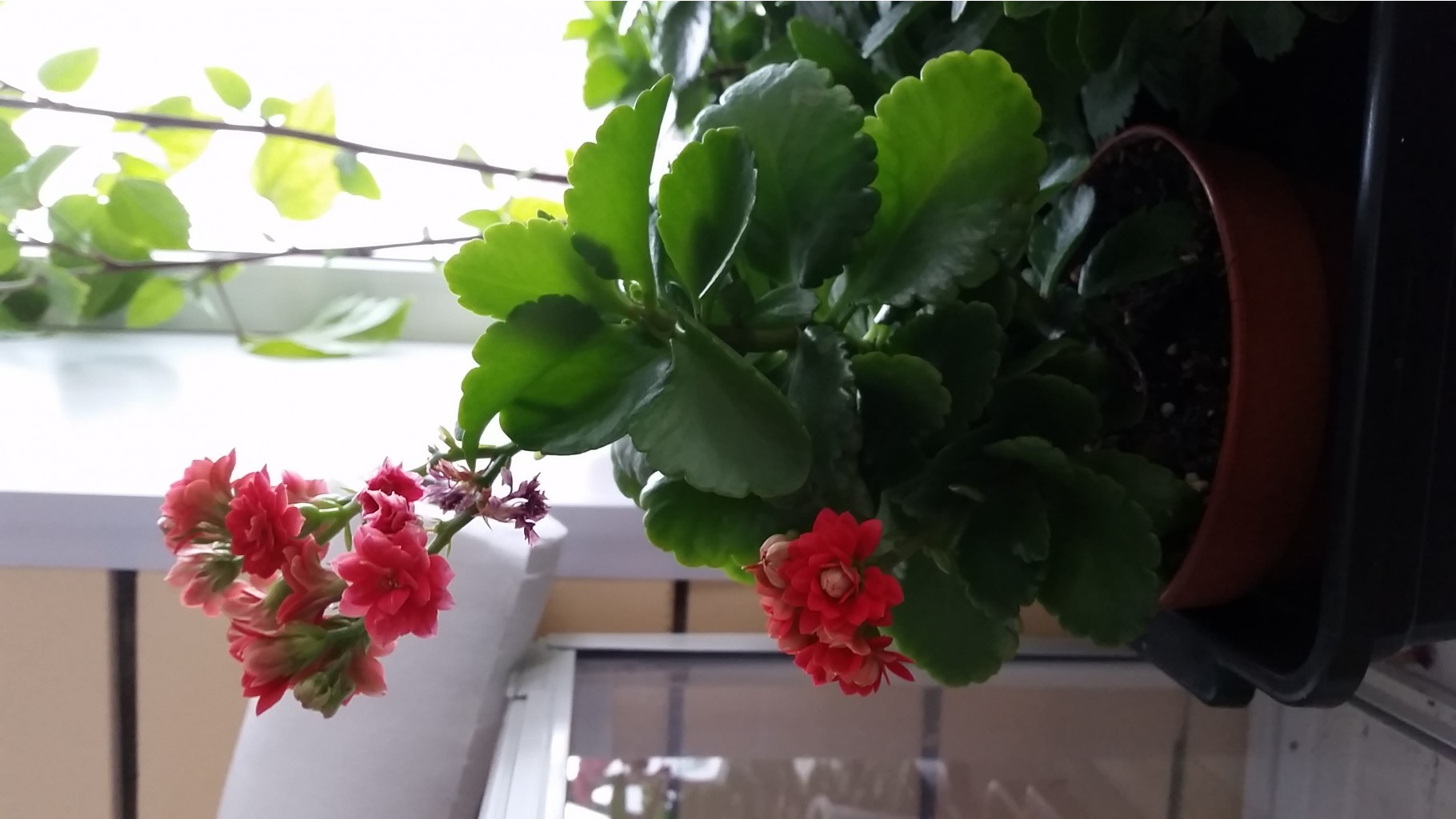20150322_164938.jpg