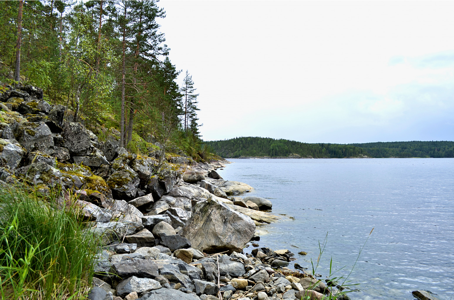 _DSC7942.JPG