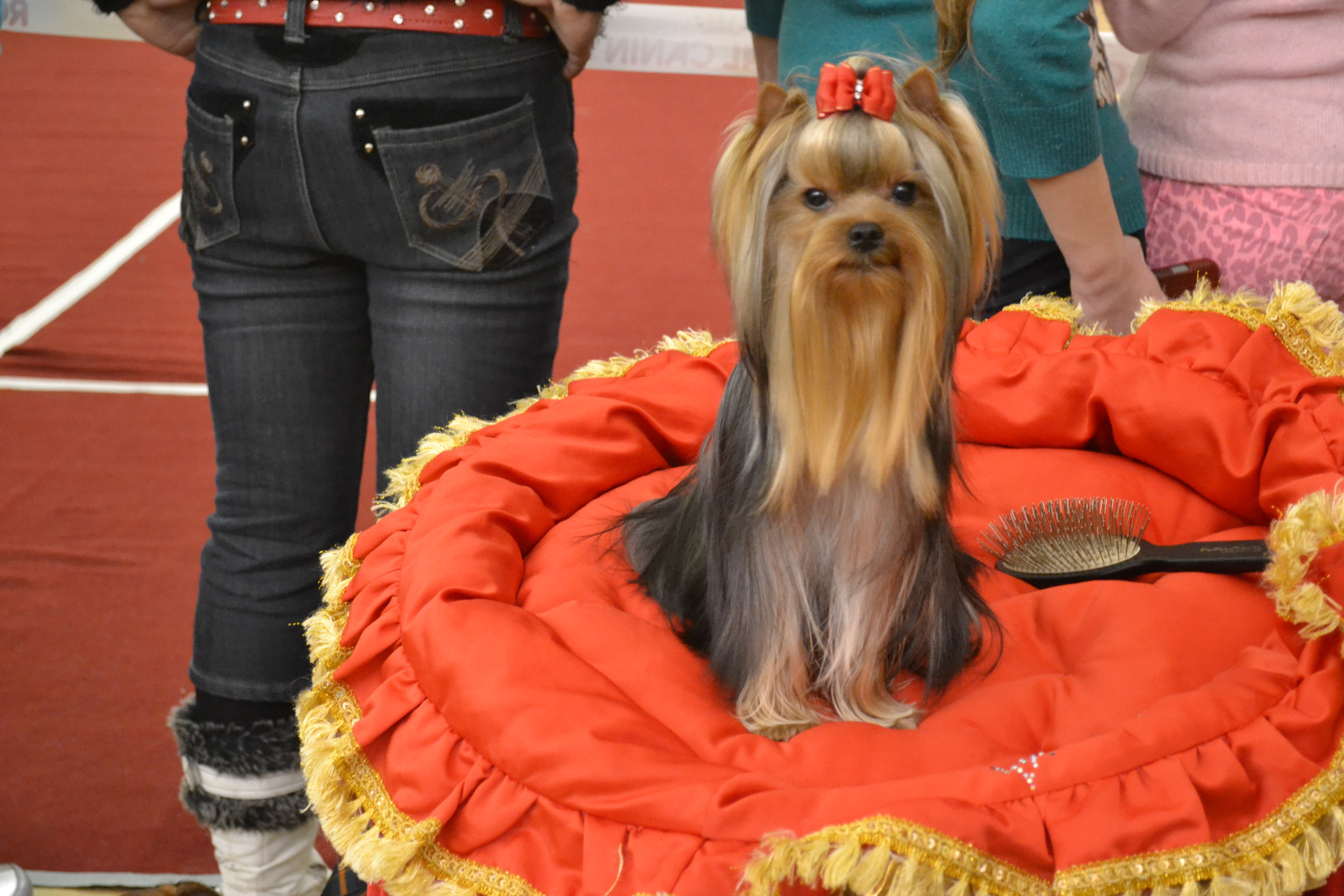 DSC_0496.JPG