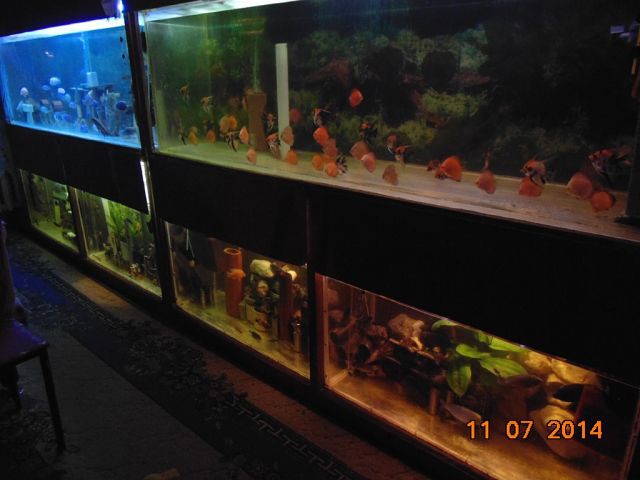 getImage (45).jpg