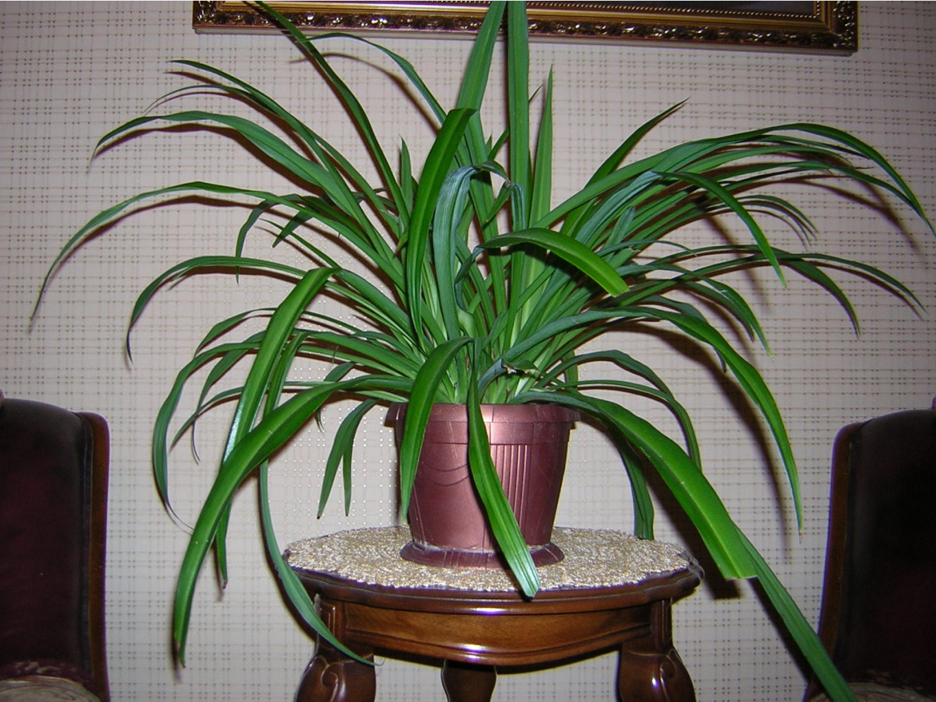 DSCN1402.JPG