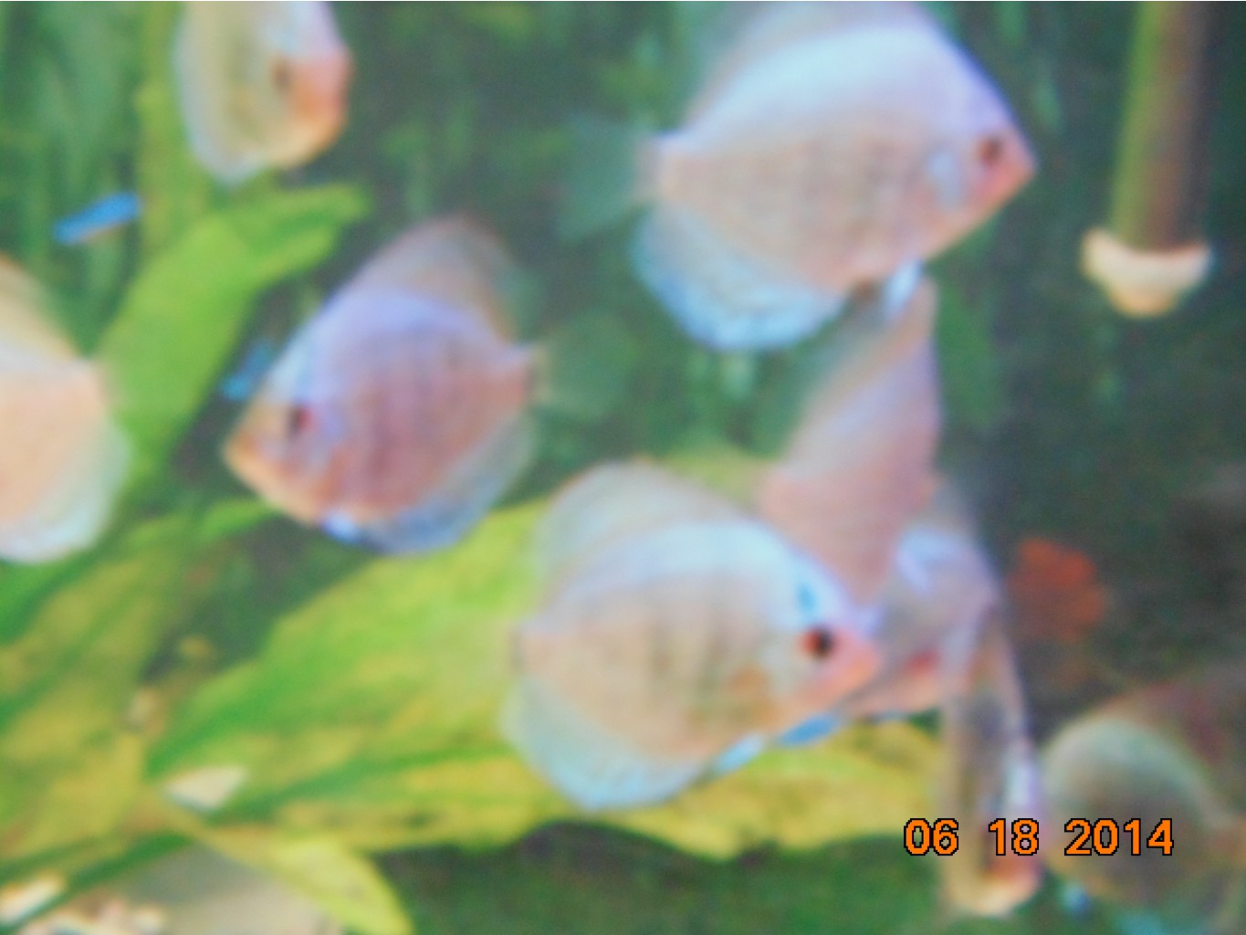 DSC01268.JPG