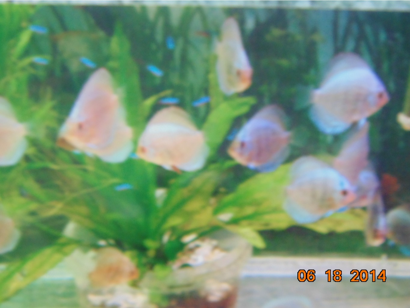 DSC01267.JPG
